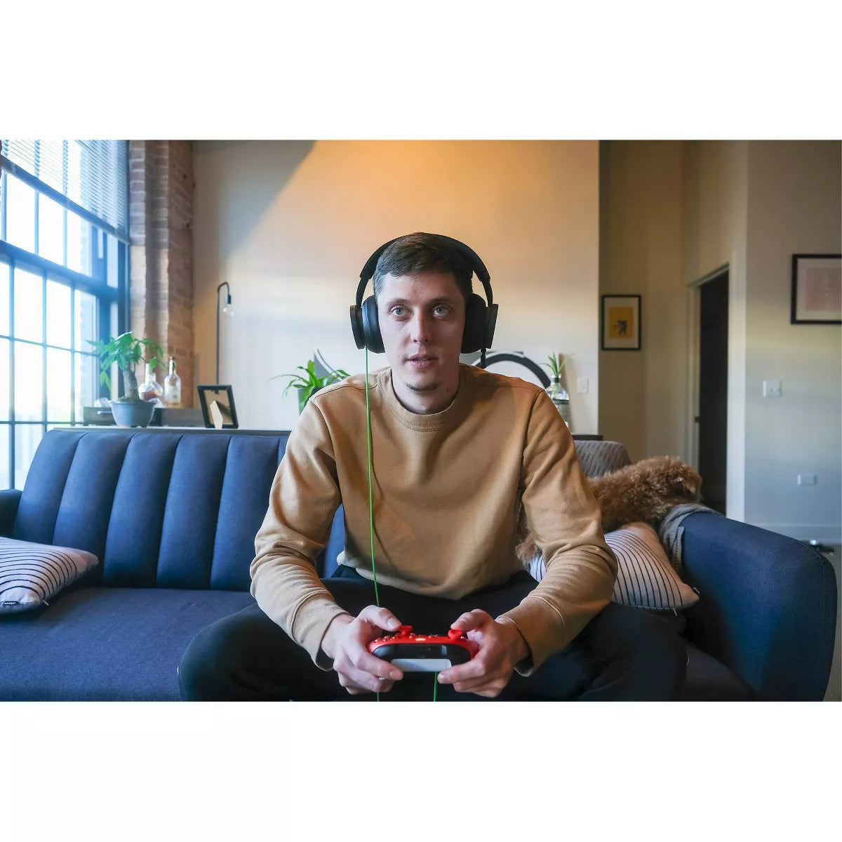 Xbox Wired Gaming Stereo Headset for Xbox Series X|S/Xbox One: Foam Cushions, 3.5Mm Jack